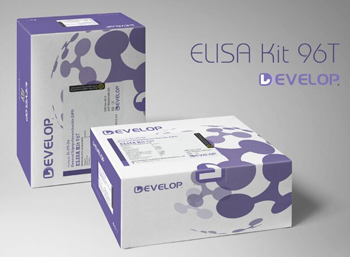 Equine Glucagon Like Peptide 1 (GLP1) ELISA Kit