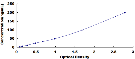 Human 2,5-Oligoadenylate Synthetase 2 (OAS2) ELISA Kit