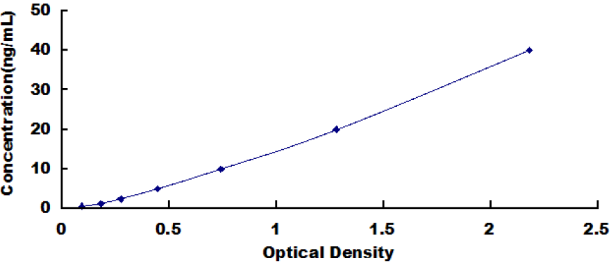 Equine Leptin (LEP) ELISA Kit