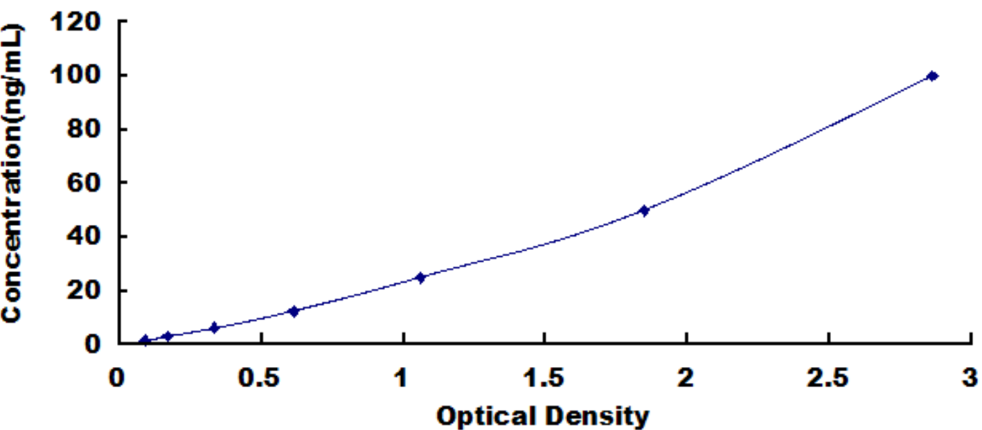 Rat UDP Glucuronosyltransferase 1 Family, Polypeptide A1 (UGT1A1) ELISA Kit