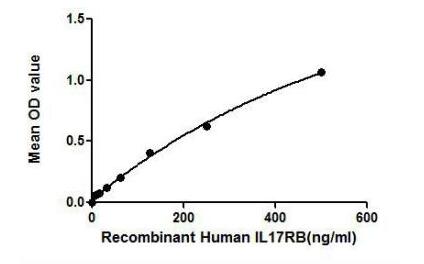 Active Interleukin 17 Receptor B (IL17RB)