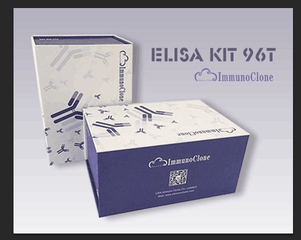 Mouse Anti Mullerian Hormone (AMH) ELISA Kit