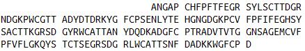 Eukaryotic Matrix Metalloproteinase 9 (MMP9)