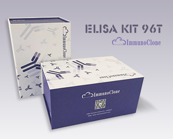 Human Isocitrate Dehydrogenase 2,mitochondrial (IDH2) ELISA Kit