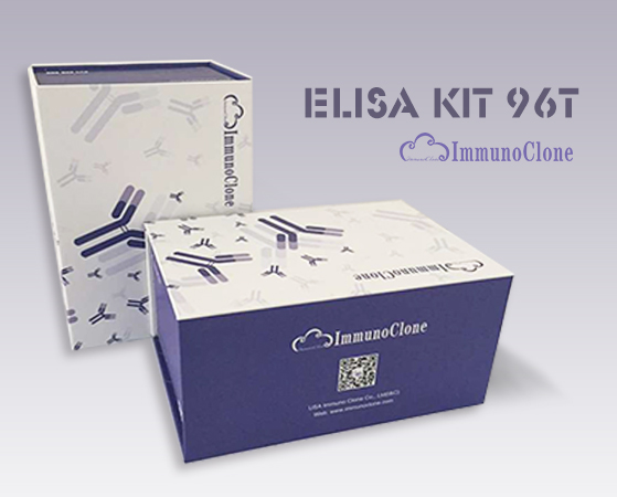 Human Interleukin 8 Receptor Alpha (IL8Ra) ELISA Kit