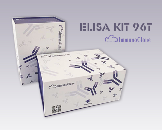 Human Nischarin (NISCH) ELISA Kit