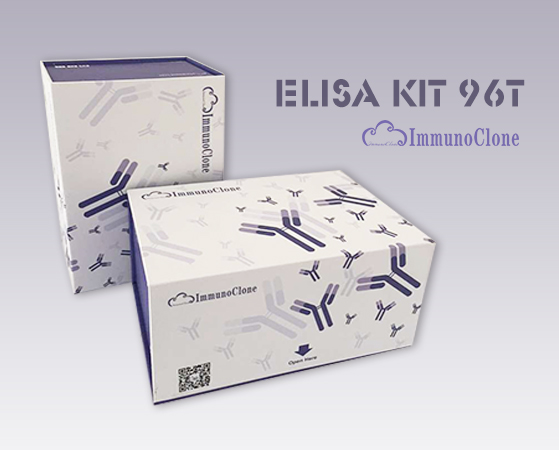 Human Neuromedin U (NMU) ELISA Kit