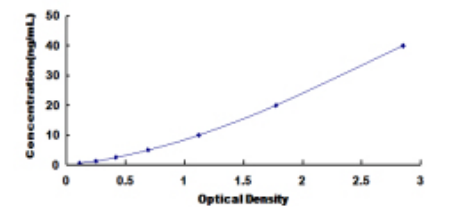 Human Vascular Endothelial Growth Factor Receptor (VEGFR) ELISA Kit