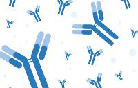 IL-9R Polyclonal Antibody