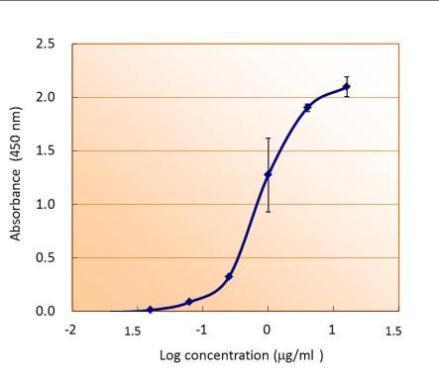 6X His tag antibody