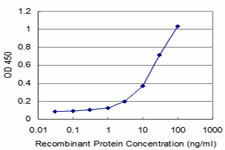 NEU2 Antibody (monoclonal) (M02)