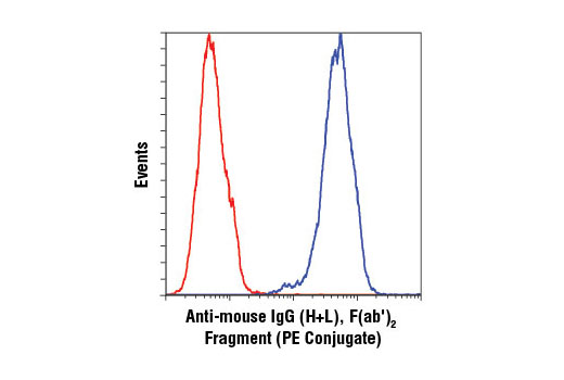 Anti-mouse IgG (H+L), F(ab') 2 Fragment (PE Conjugate)