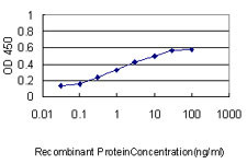 NPC1 Antibody (monoclonal) (M02)