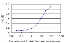 NHP2L1 Antibody (monoclonal) (M02)