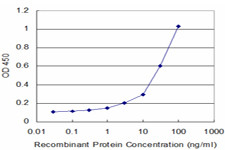 NOV Antibody (monoclonal) (M01)