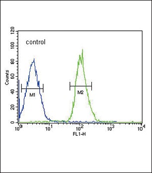 FGFR1 Antibody