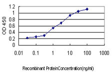 N4BP2 Antibody (monoclonal) (M01)