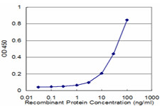 MPP1 Antibody (monoclonal) (M01)