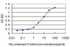 MSR1 Antibody (monoclonal) (M01)