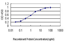 MARK2 Antibody (monoclonal) (M01)