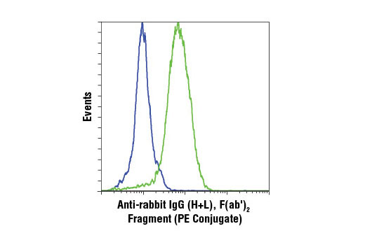 Anti-rabbit IgG (H+L), F(ab') 2 Fragment (PE Conjugate)