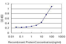 MEOX1 Antibody (monoclonal) (M02)