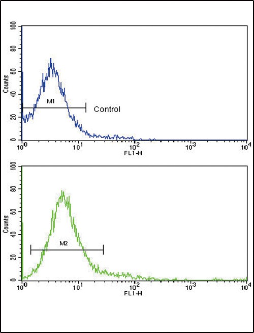CD45 Antibody