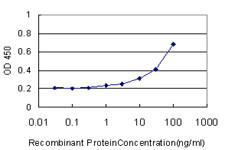 NR0B2 Antibody (monoclonal) (M01)