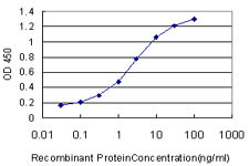 MED8 Antibody (monoclonal) (M01)