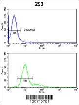RB1 Antibody