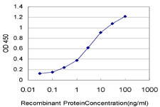 NDUFB11 Antibody (monoclonal) (M12)