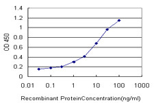 MYO3A Antibody (monoclonal) (M03)