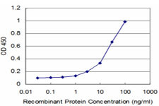 NEU2 Antibody (monoclonal) (M04)