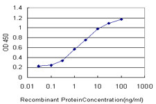 MTF1 Antibody (monoclonal) (M06)