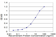 NEUROD6 Antibody (monoclonal) (M06)