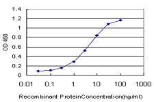 NKX2-5 Antibody (monoclonal) (M02)