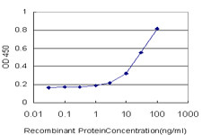 LY75 Antibody (monoclonal) (M10)