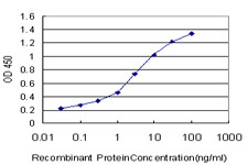 MFGE8 Antibody (monoclonal) (M09)