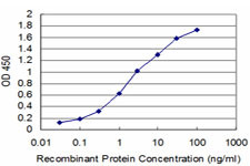 MIB2 Antibody (monoclonal) (M02)