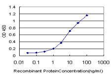 NGB Antibody (monoclonal) (M02)