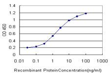 MTF1 Antibody (monoclonal) (M01)